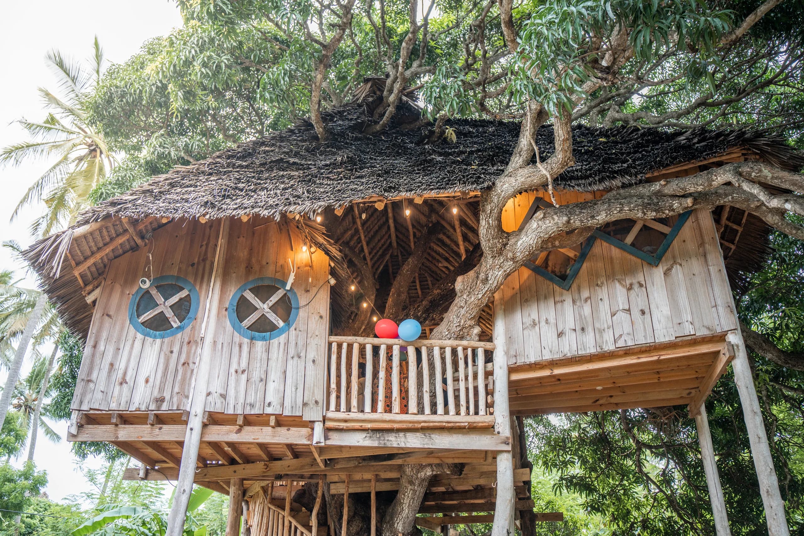 Makuti architecture shaped around a mature tree at the Living PEACE Village